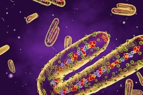 Loại virus khiến người bệnh trông giống như 'ma', chưa có thuốc chữa nguy hiểm thế nào?