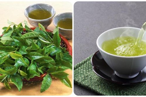 Uống bao nhiêu nước chè xanh mỗi ngày là đủ?
