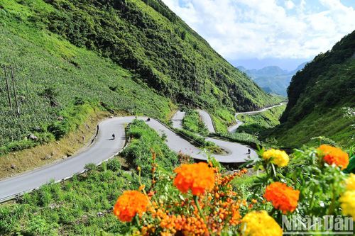 Xu hướng du lịch của du khách Việt dịp nghỉ Tết Nguyên đán Ất Tỵ 2025