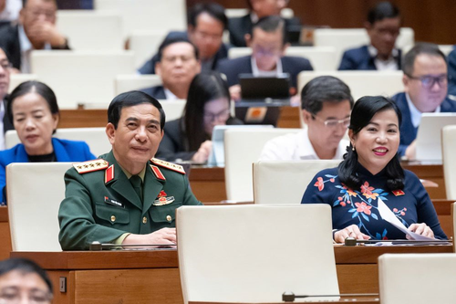 Khóm sắn trên đỉnh Trường Sơn
