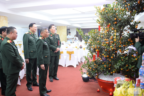 Các cơ quan tổ chức đón Tết sẵn sàng chiến đấu cao, vui tươi, an toàn, tiết kiệm