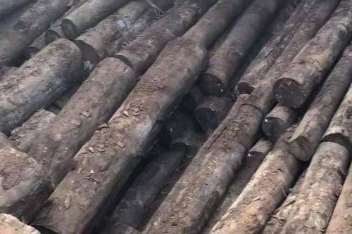Ngã ngửa khối gỗ như củi đun giá trị ngang căn biệt thự