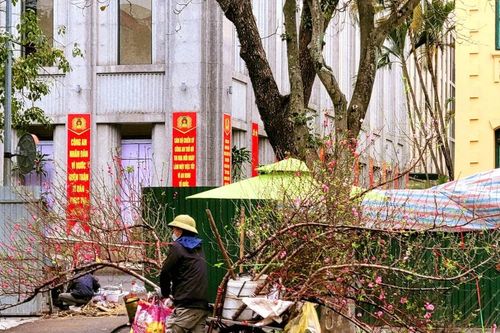 Gánh hàng rong tất tả mưu sinh cận Tết ở Hà Nội
