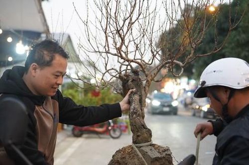 Nhộn nhịp chợ hoa Tết ở thành phố vùng biên