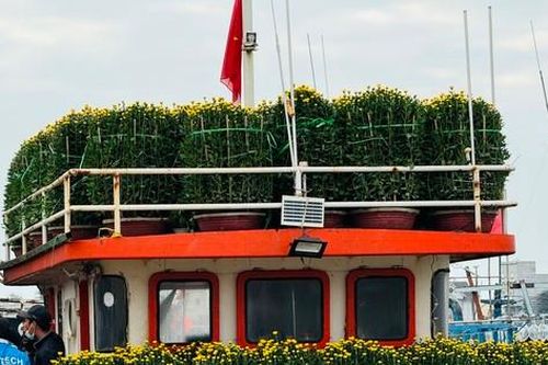 'Chở Tết' ra đảo tiền tiêu của Tổ quốc
