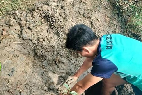 Độc lạ miền Tây: Làm hầm bắt cá ngày giáp Tết