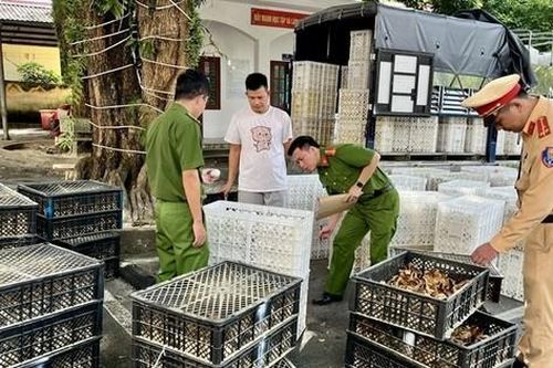 Xe tải nhập lậu chạy qua biên giới, cơ quan quản lý không biết gì