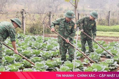 Đảm bảo nguồn thực phẩm phục vụ cán bộ, chiến sĩ dịp Tết