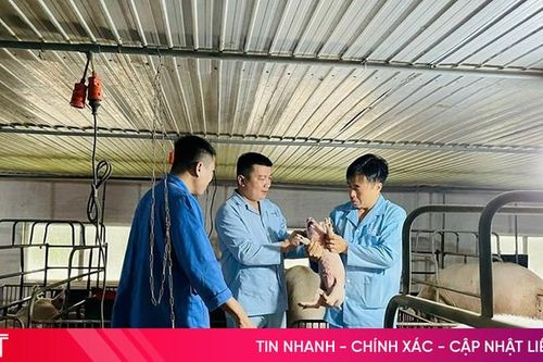 Cùng doanh nghiệp Hà Tĩnh 'vượt sóng'