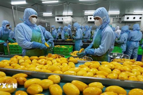 UNCTAD mong muốn thắt chặt quan hệ hợp tác với Việt Nam