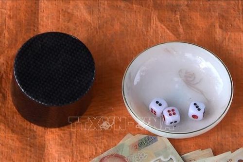 Triệt phá sòng tài xỉu giữa vườn mãng cầu