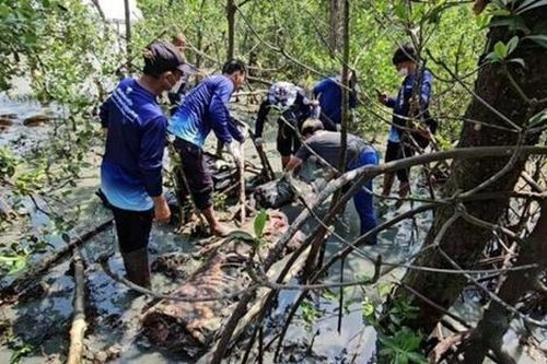 Rủ nhau đi đánh cá, dân làng hoảng sợ trước con 'thủy quái' trôi dạt vào sông
