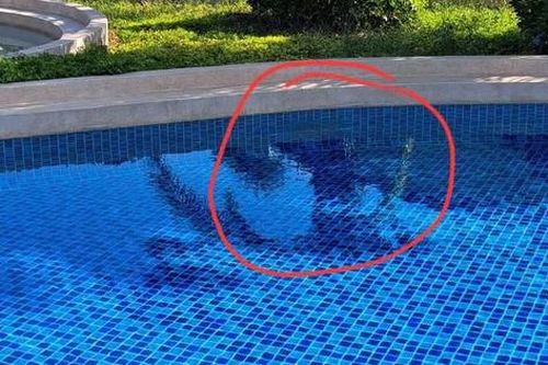 Hồ bơi nơi bé trai người Nhật đuối nước có nhiều sai phạm trong quá trình thực hiện