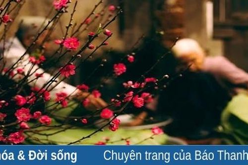 Đợi Tết...