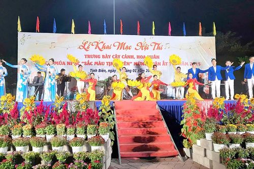 Khai mạc Hội thi trưng bày cây cảnh mừng xuân Ất Tỵ tại TX. Tịnh Biên