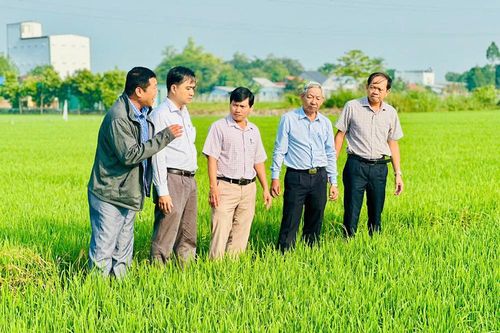 Thăm đồng, kiểm tra tình hình sản xuất nông nghiệp trước Tết Nguyên đán 2025