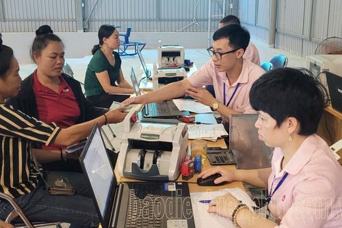 Hỗ trợ khắc phục khó khăn, khôi phục sản xuất kinh doanh sau bão số 3