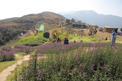 Pha Đin mùa xuân về