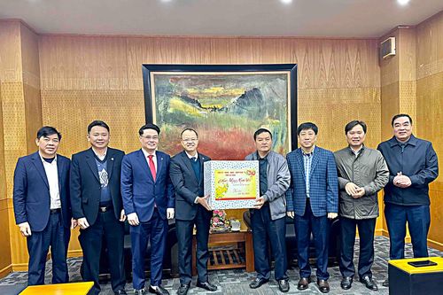 Đồng chí Giàng A Tính - Phó Chủ tịch UBND tỉnh thăm, chúc Tết Công ty Điện lực Lai Châu