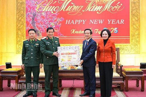 Đảng ủy, Bộ Tư lệnh Quân đoàn 12 chúc Tết tỉnh Ninh Bình