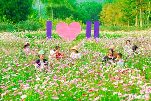 Những 'điểm hẹn mùa Xuân' ở Nghệ An
