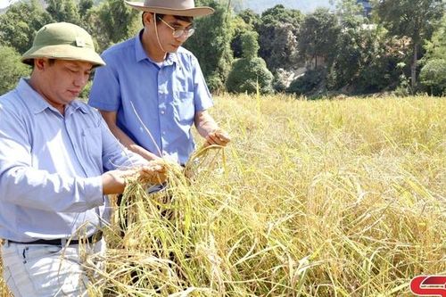 Khẳng định vai trò trung tâm nghiên cứu khoa học của vùng Tây Bắc