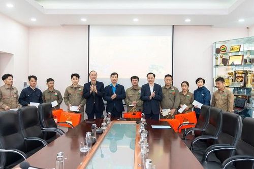 Năm 2025, Phân lân Văn Điển phấn đấu lợi nhuận đạt trên 100 tỷ đồng