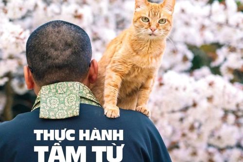 Thực hành tâm từ - con đường hạnh phúc