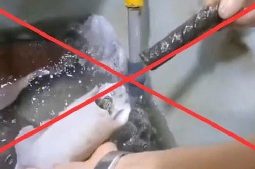 'Mực nhồi sắt' tại chợ Bình Điền là tin giả, nhằm câu view