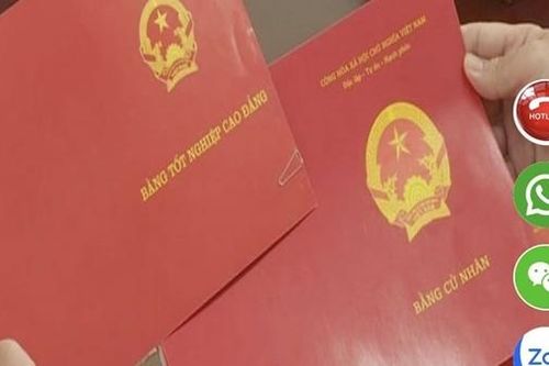 Làm giả hồ sơ tại Trường Cao đẳng Giao thông vận tải TP Hồ Chí Minh
