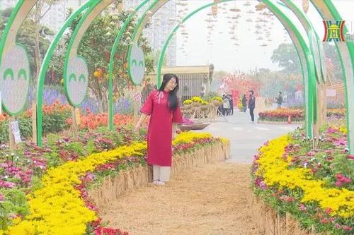 Đường hoa Home Hanoi Xuan kể chuyện Tết bằng âm nhạc