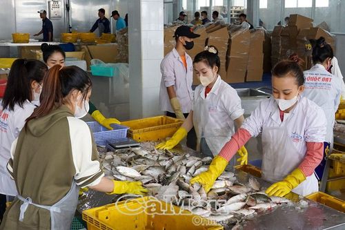 Vì một môi trường lao động ổn định