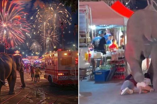 Clip: Hành động bất ngờ của chú voi tại hội chợ khiến ông chủ trả giá đắt