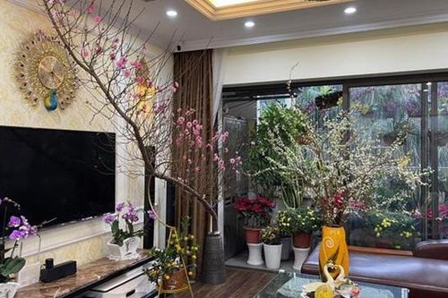 Áp dụng mẹo phong thủy ngày Tết dưới đây để đón tài lộc, may mắn cho gia đình trong suốt năm mới