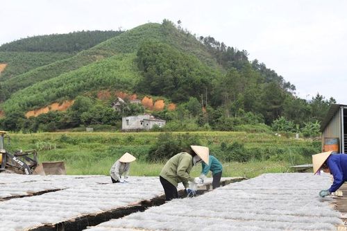 Những miền quê nông thôn mới rộn vang tiếng cười