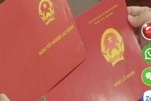 Làm giả hồ sơ tại Trường Cao đẳng Giao thông vận tải TP.HCM
