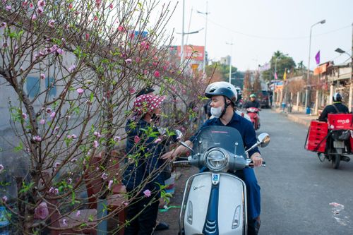 Đào quất Tết đìu hiu, loại hoa độc lạ nhập khẩu lần đầu xuất hiện