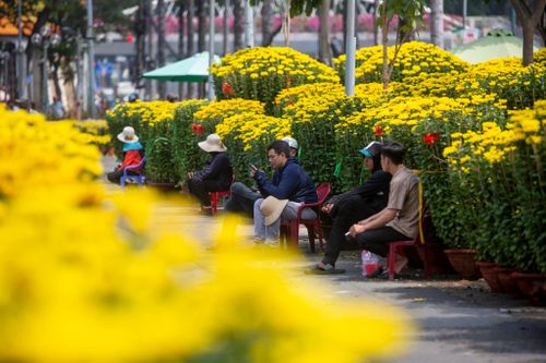 Chợ hoa TP.HCM thưa thớt, người bán ngồi ôm điện thoại hết ngày