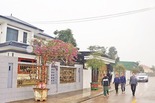 Xuân yên bình trên các khu tái định cư ở Hà Tĩnh