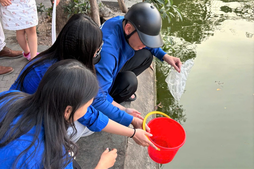 'Thả cá, không thả túi nilon': Hành động đẹp vì môi trường