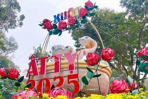 Hội hoa Xuân TP. HCM 2025 sẽ diễn ra 10 ngày