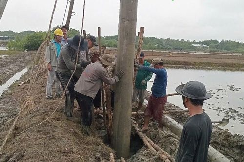 Niềm vui của người dân Cần Giờ khi có điện