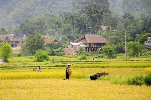 Cụm homestay ở Hà Giang nhận giải thưởng du lịch ASEAN