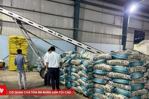 Thành lập 9 công ty để sản xuất, buôn bán phân bón giả
