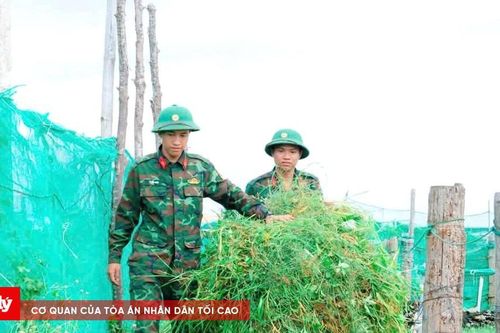 Thấm đượm tình quân dân trên quê hương Hải đội Hoàng Sa