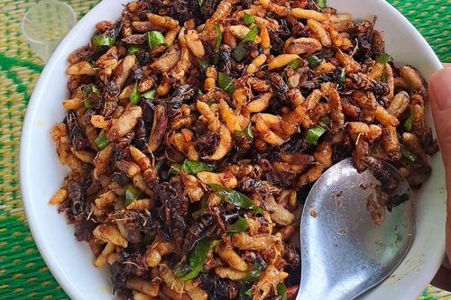 Đặc sản béo mầm ở Tây Bắc khan hiếm dịp Tết, khách Hà Nội 'đỏ mắt' tìm mua