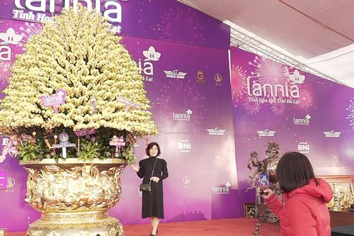 Chậu lan 'khủng' dát vàng bay từ Đà Lạt ra Hà Nội, được chào giá gần 4 tỷ đồng