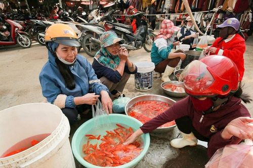 Thị trường đồ lễ cúng ông Táo dồi dào, giá bình ổn