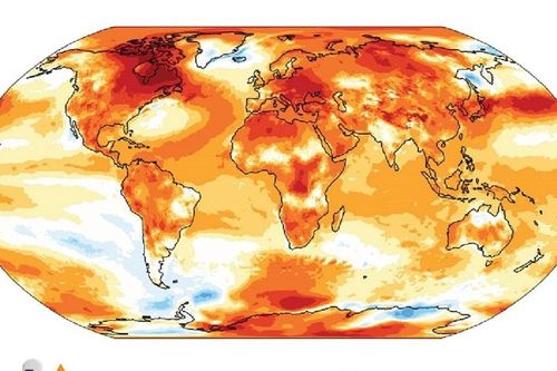 WMO: 2024 là năm nóng nhất từng được ghi nhận