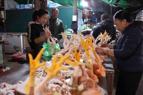 Chợ đầu mối Hà Nội sẵn sàng nguồn hàng phục vụ thị trường Tết